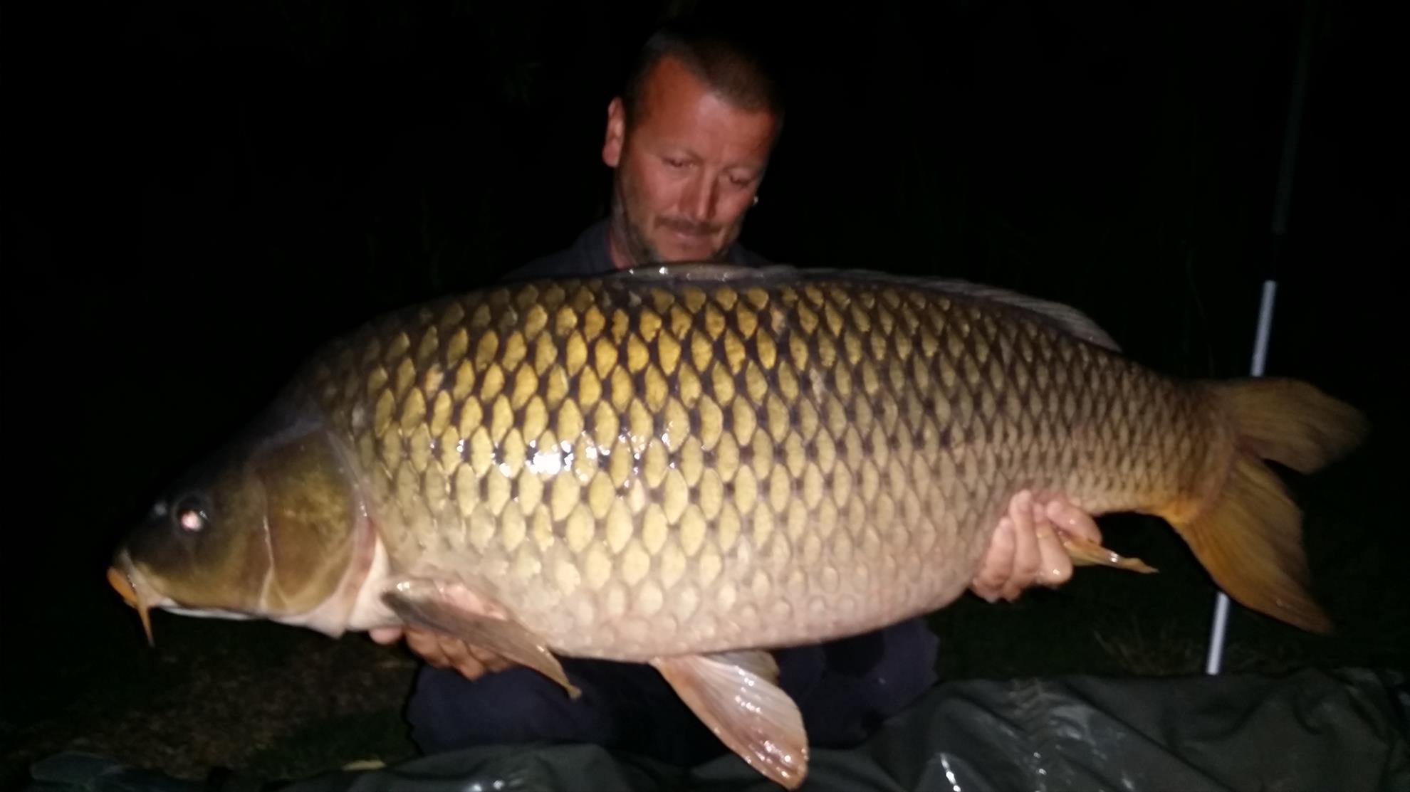 Șiclau 2015  - 20150622223443.jpg